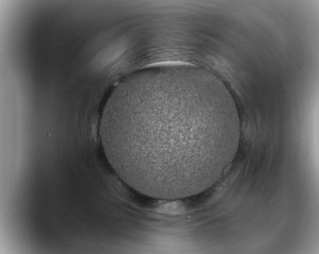 X0000088670185200706071507