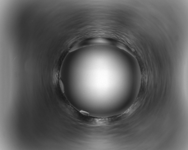 X0000088670188200706071507
