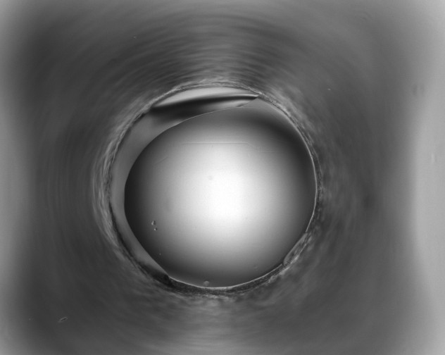 X0000088670193200706071506