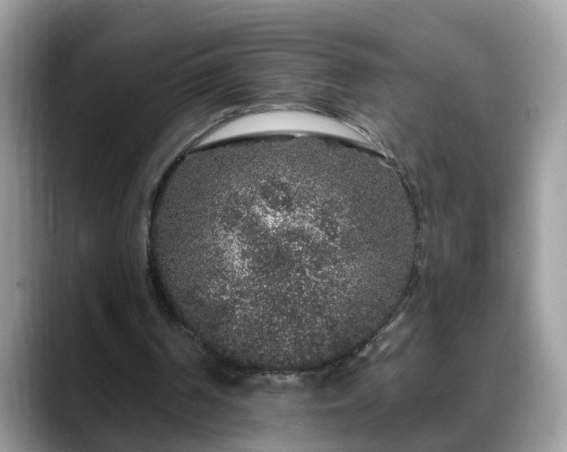 X0000088670194200706071506