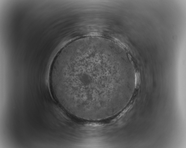 X0000088670195200706071506