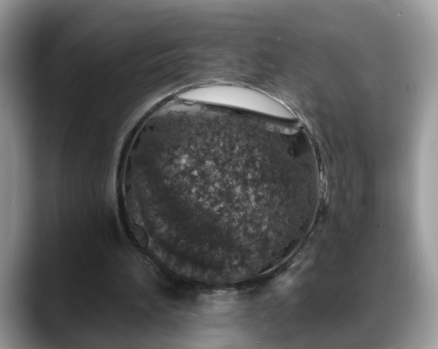 X0000088670196200706071506