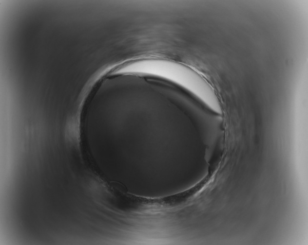 X0000088670200200706071506