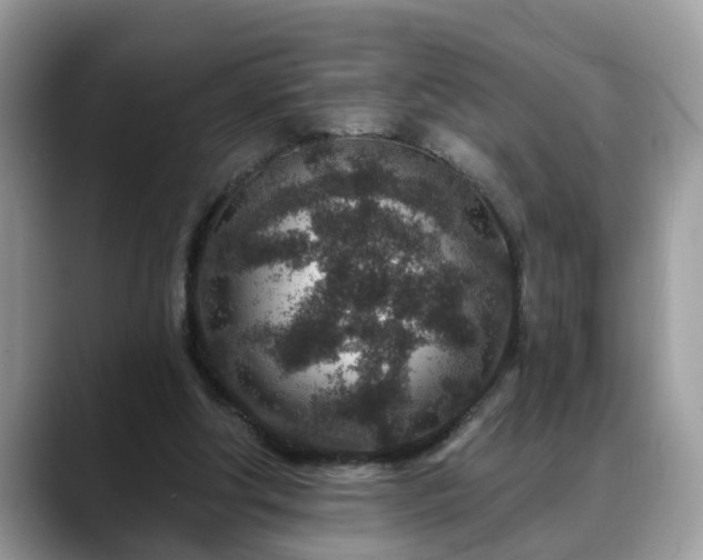 X0000088670202200706071506