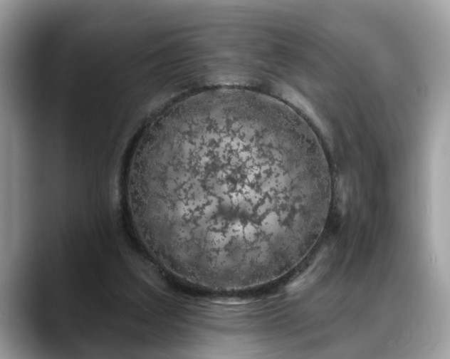 X0000088670203200706071506
