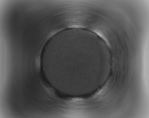 X0000088670204200706071506