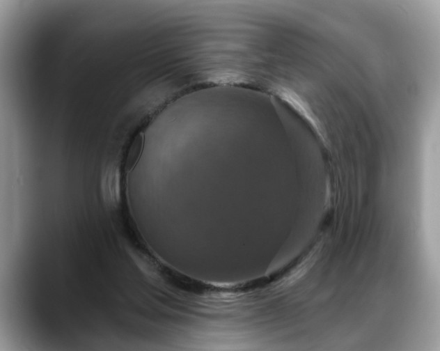 X0000088670205200706071506