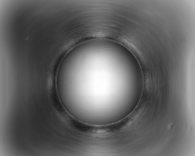 X0000088670208200706071506