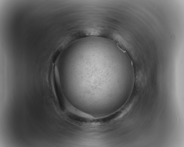X0000088670209200706071506