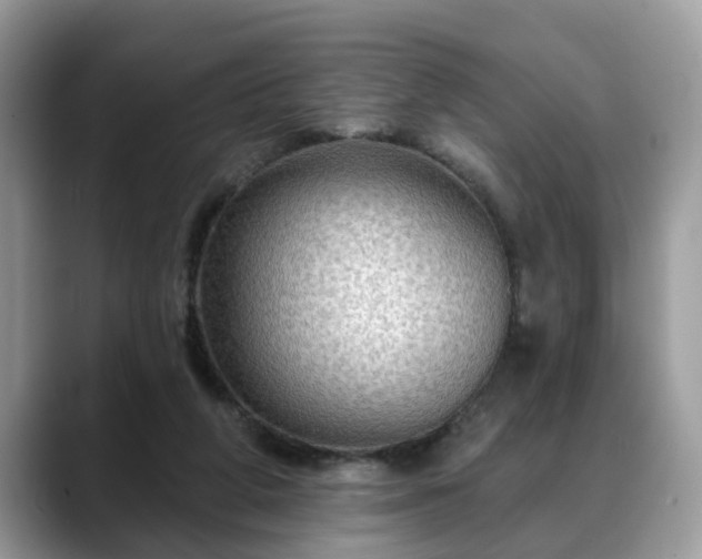 X0000088670210200706071506