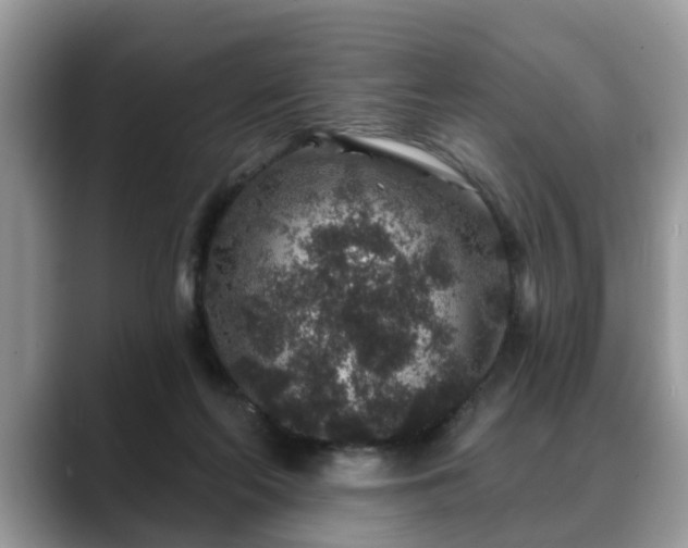X0000088670214200706071506