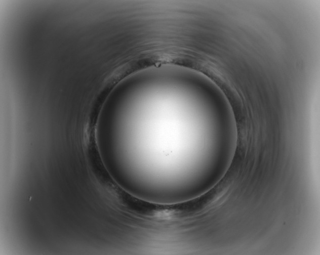 X0000088670216200706071506