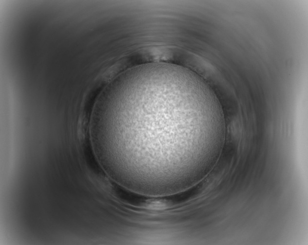 X0000088670218200706071506