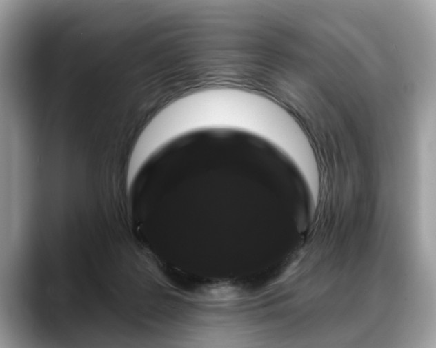 X0000088670219200706071506