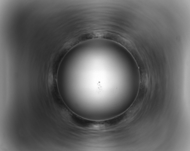 X0000088670220200706071506