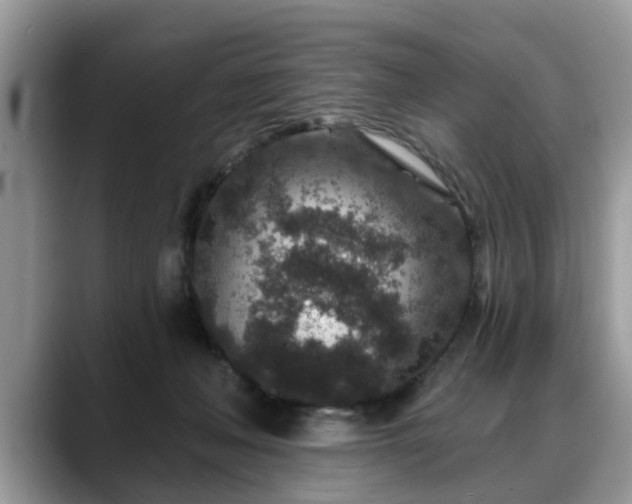 X0000088670222200706071506