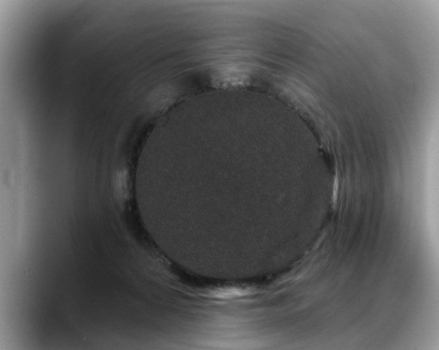 X0000088670224200706071506