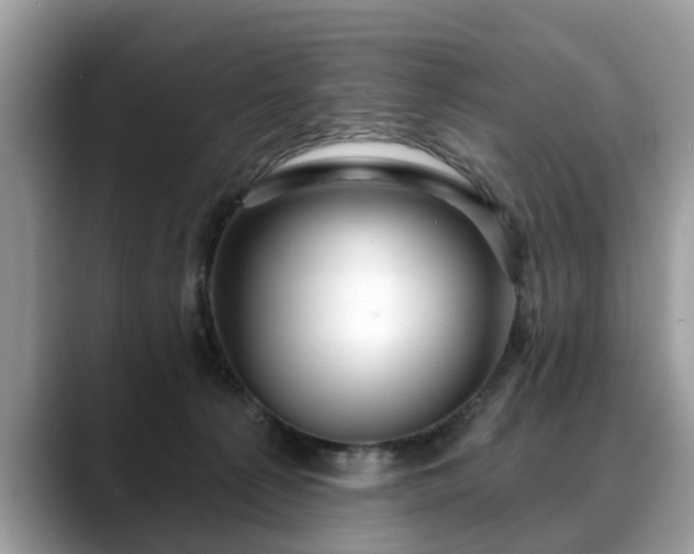 X0000088670225200706071506