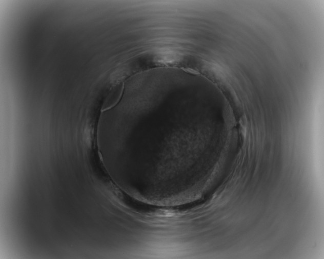 X0000088670227200706071506