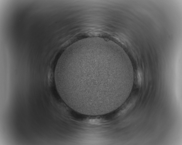 X0000088670228200706071506