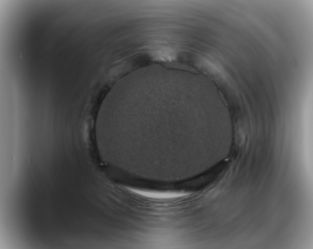 X0000088670229200706071506
