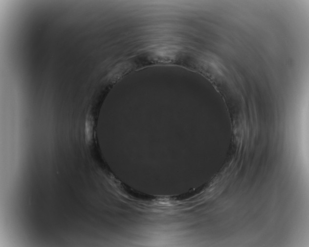 X0000088670231200706071506