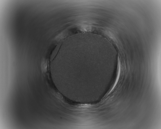 X0000088670233200706071506