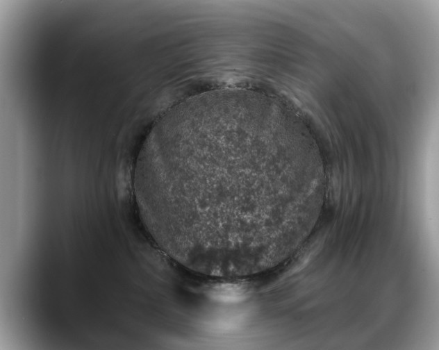 X0000088670236200706071506