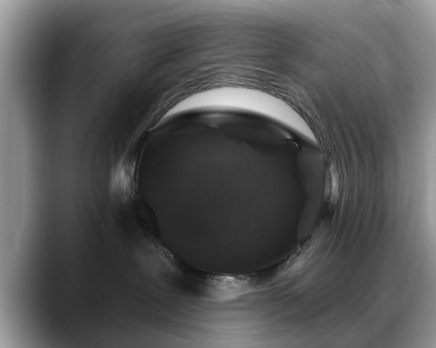 X0000088670239200706071506