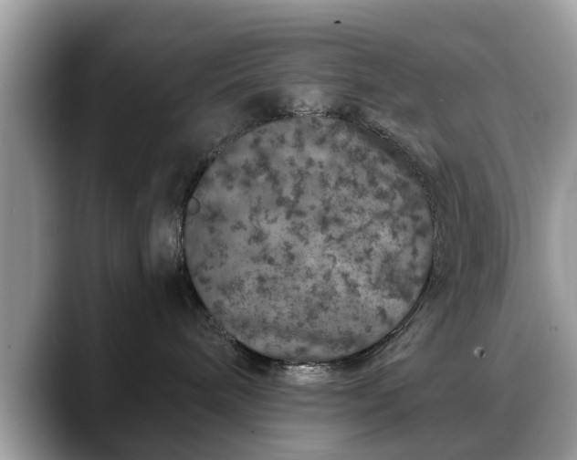 X0000088670240200706071506