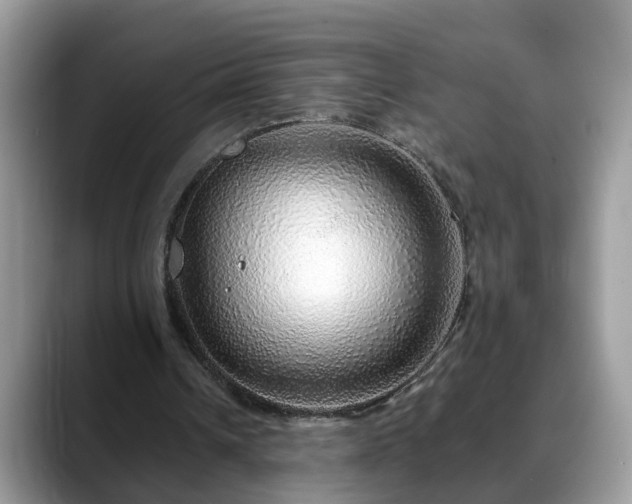 X0000088670242200706071505