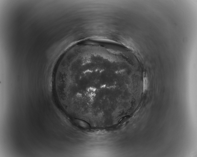X0000088670243200706071505