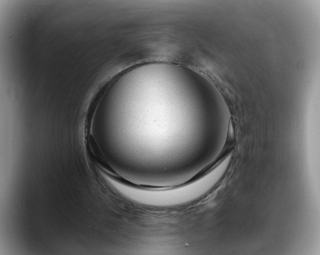 X0000088670244200706071505
