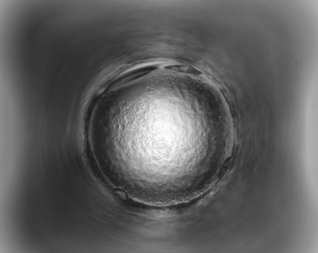 X0000088670245200706071505