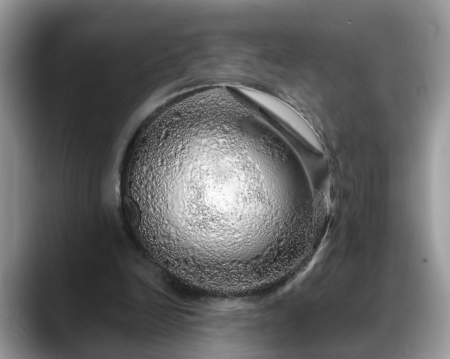 X0000088670246200706071505