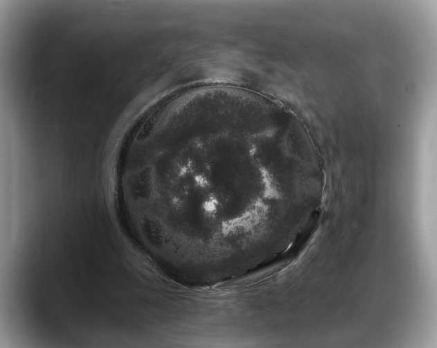 X0000088670247200706071505