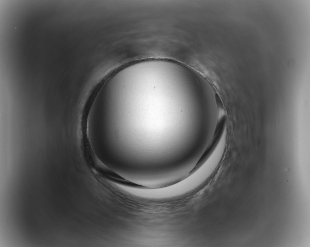 X0000088670248200706071505