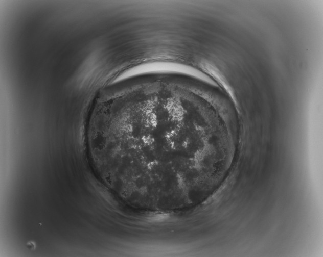 X0000088670249200706071505