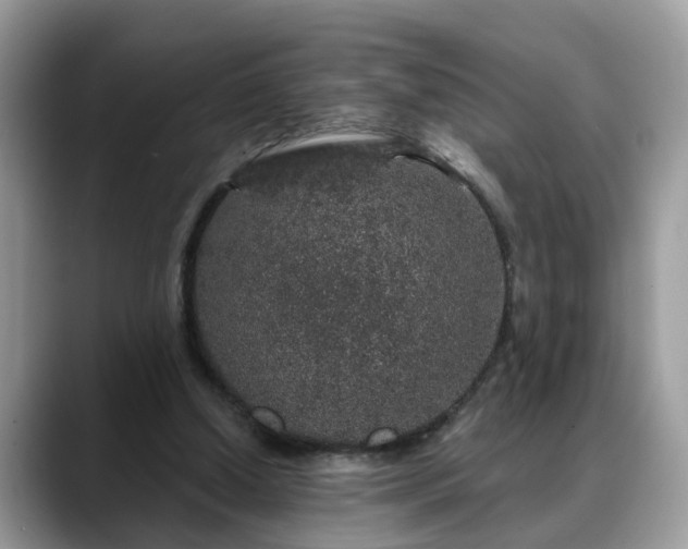 X0000088670250200706071505