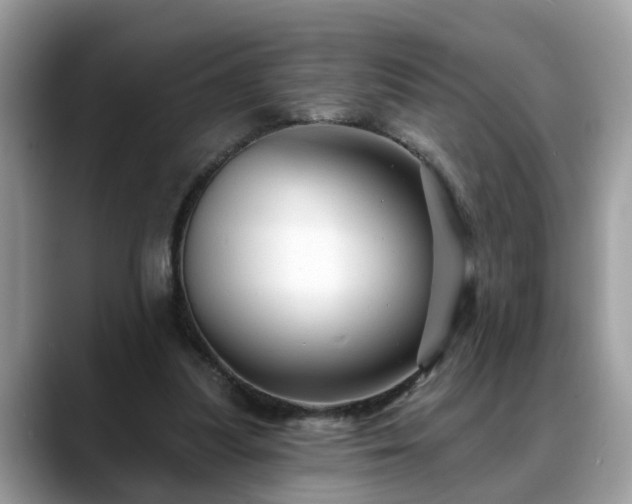 X0000088670251200706071505