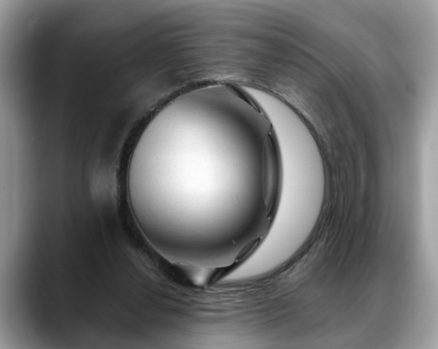 X0000088670252200706071505
