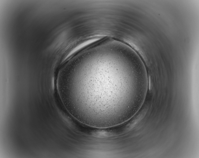 X0000088670253200706071505