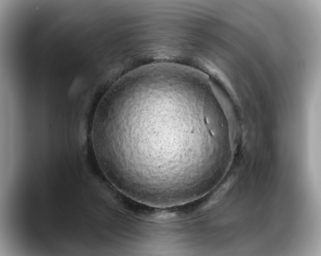 X0000088670257200706071505