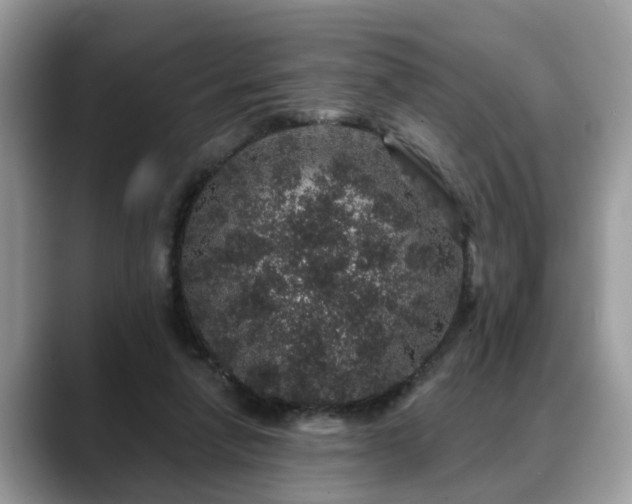 X0000088670258200706071505