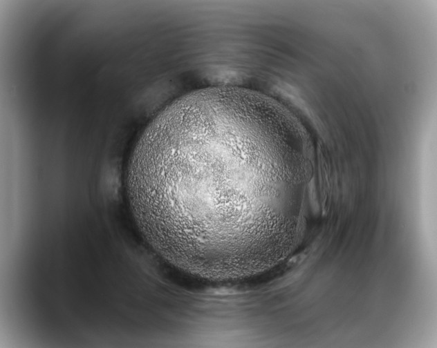 X0000088670259200706071505