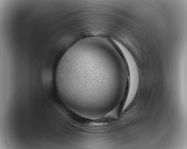 X0000088670260200706071505