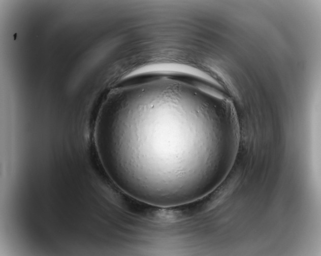 X0000088670261200706071505