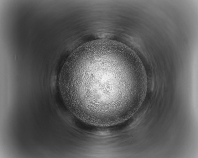 X0000088670263200706071505