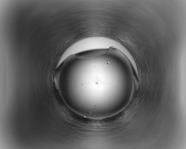 X0000088670264200706071505