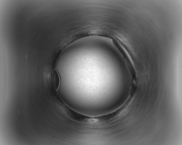 X0000088670265200706071505
